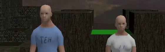 Players control two characters simultaneously in Project Aleron.
